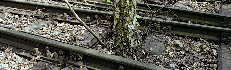 Naturpark Südgelände